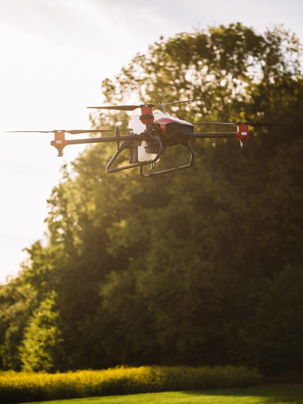 agricultural drone at sunset in the woods.